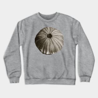 Sea Urchin Crewneck Sweatshirt